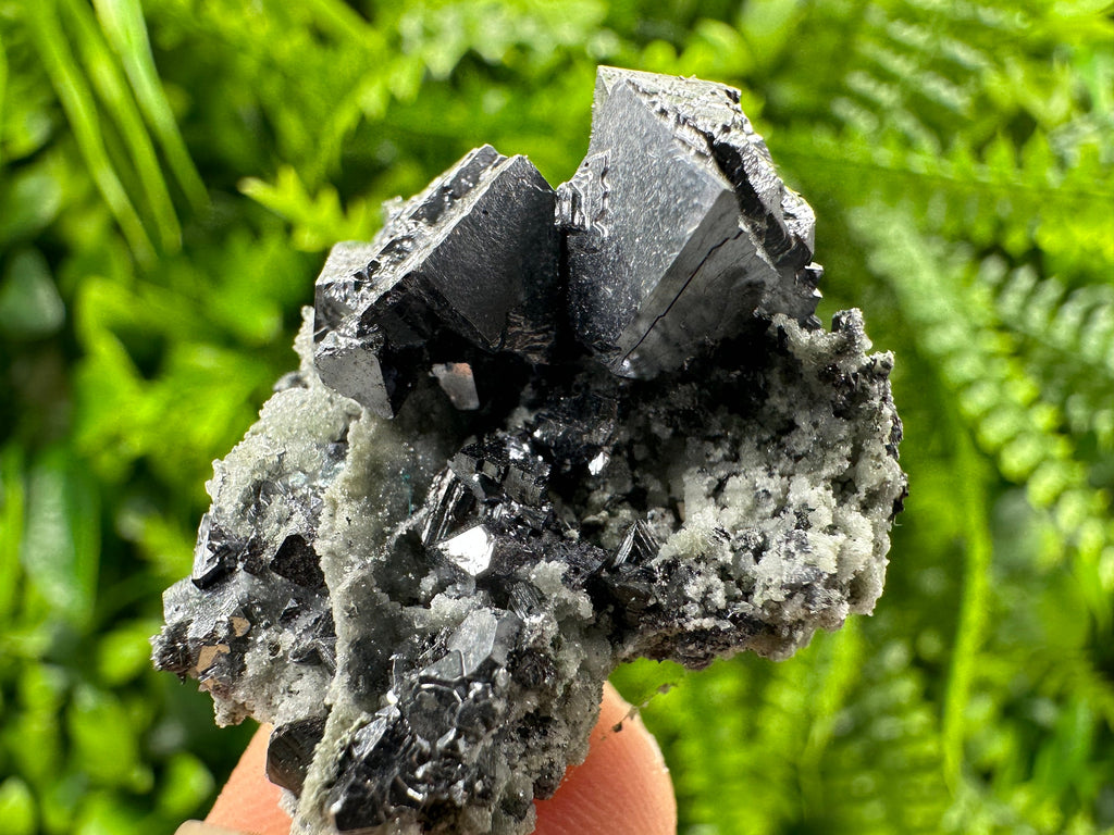 Galena on Quartz: Natural Mineral Specimen, Borieva Mine