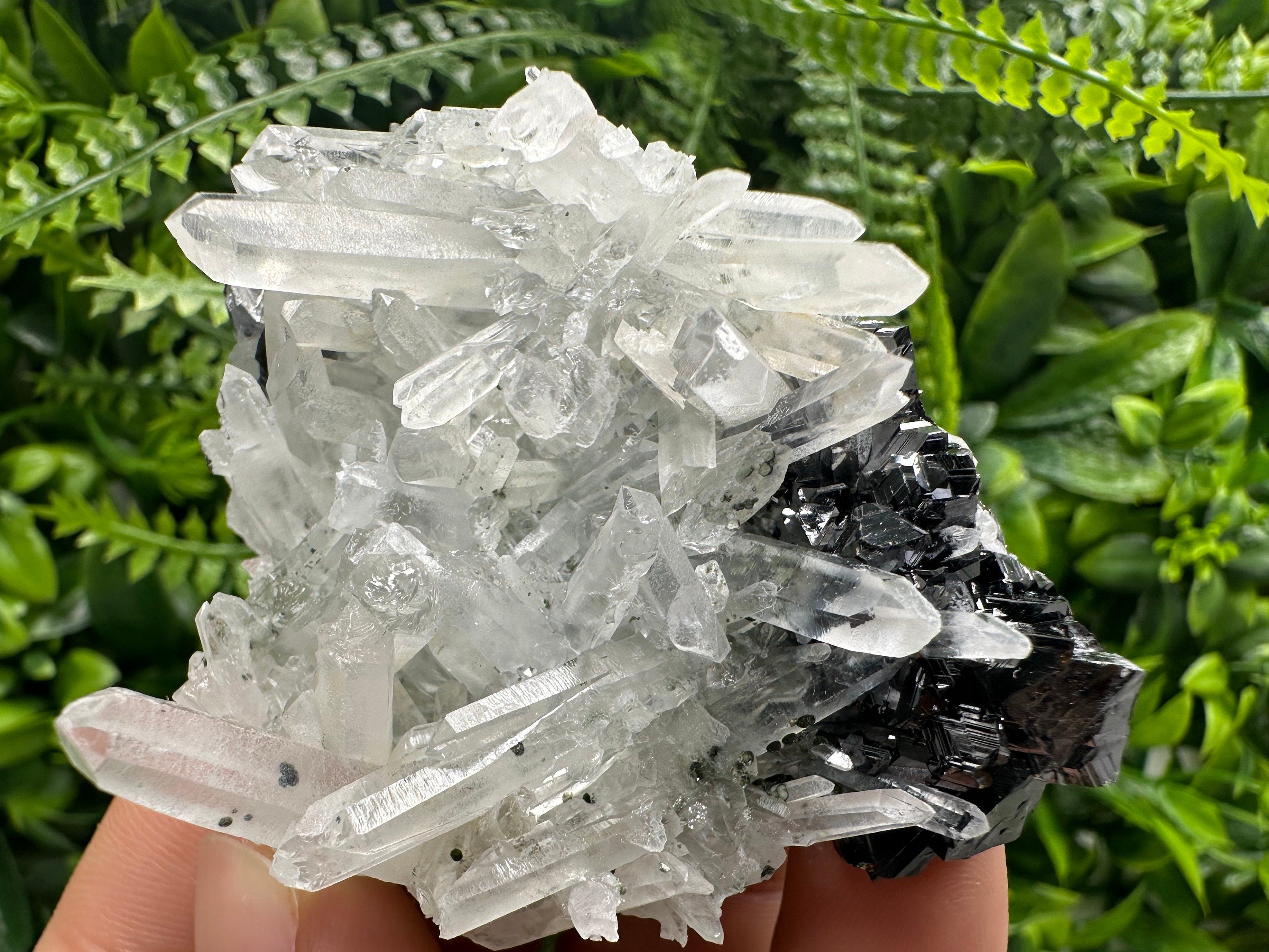 Quartz Cluster with Black Sphalerite, Krushev dol Bulgaria