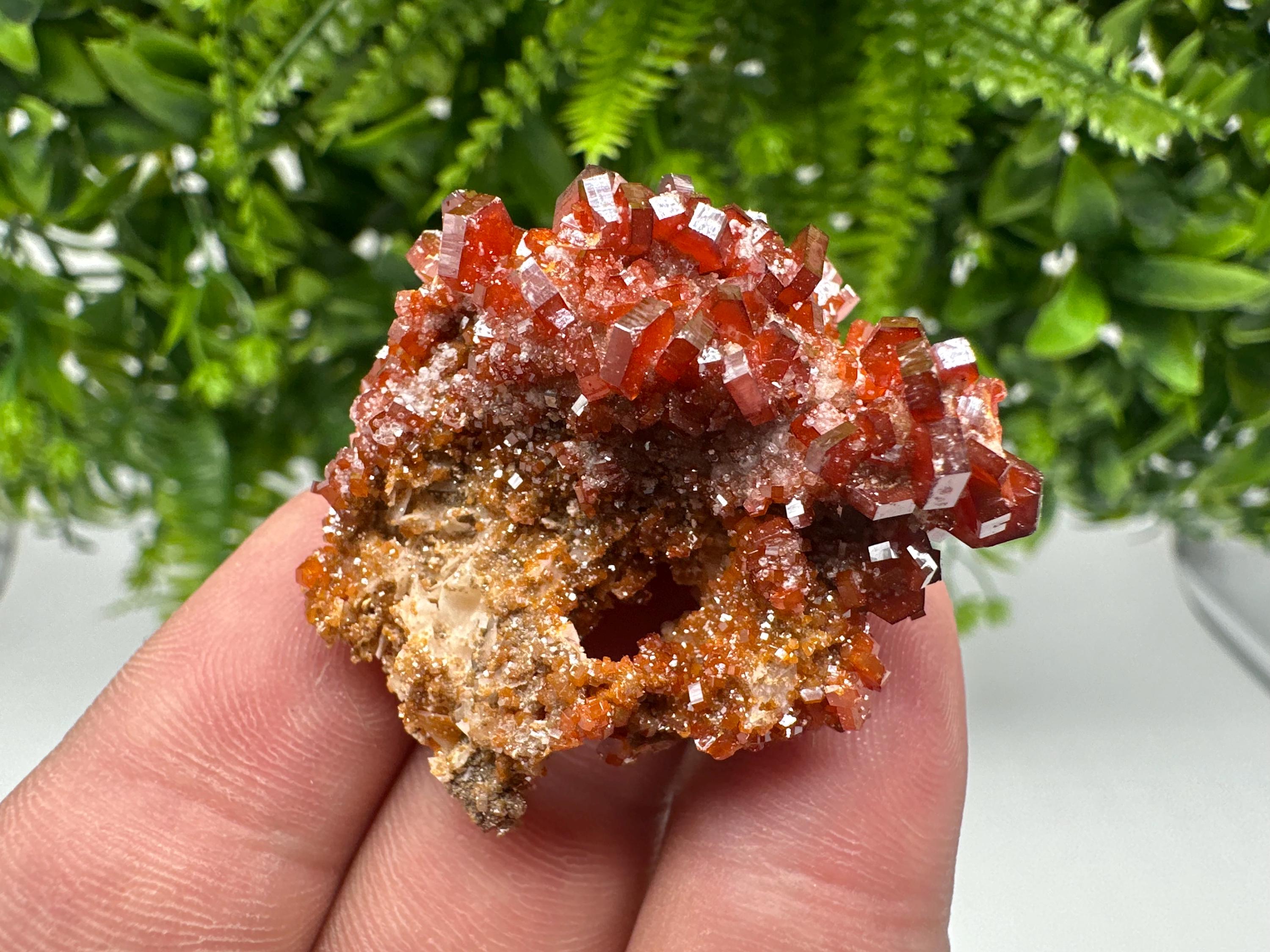 Red Vanadinite on Barite from Marocco,crystal minerals Speciment cluster Vanadinite crystal Vanadinite Geology Vanadinite cluster minerals