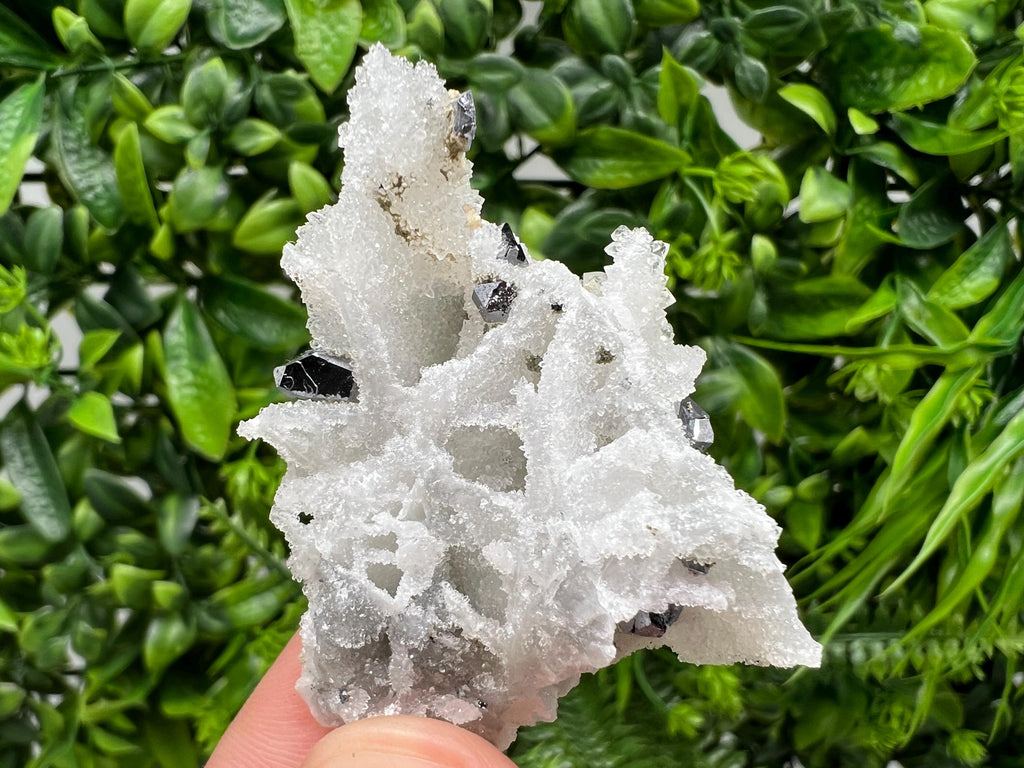 Galena on Chalcedony Specimen: Krushev Dol Mine, Bulgaria