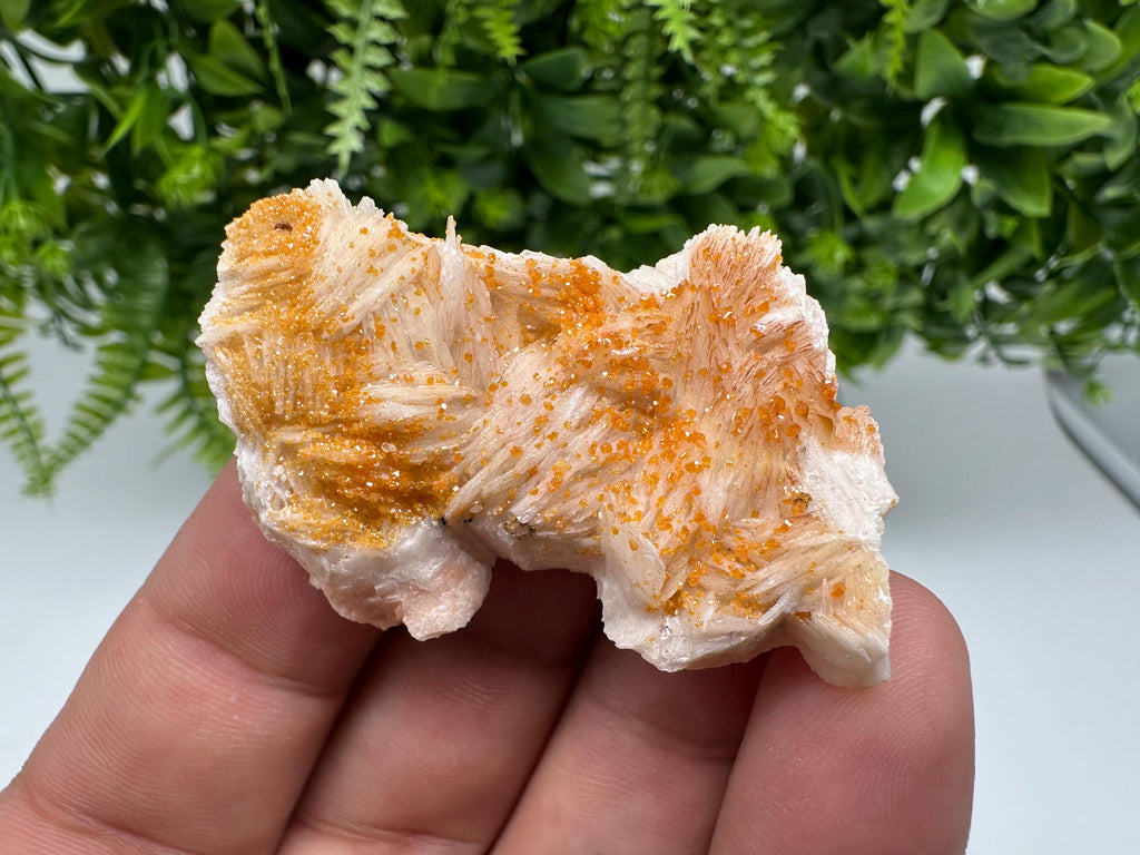 Red Vanadinite on Barite from Marocco,crystal minerals Speciment cluster Vanadinite crystal Vanadinite Geology Vanadinite cluster minerals