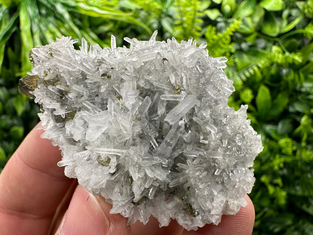 Chalcopyrite on Quartz Crystal: Borieva Mine, Bulgaria