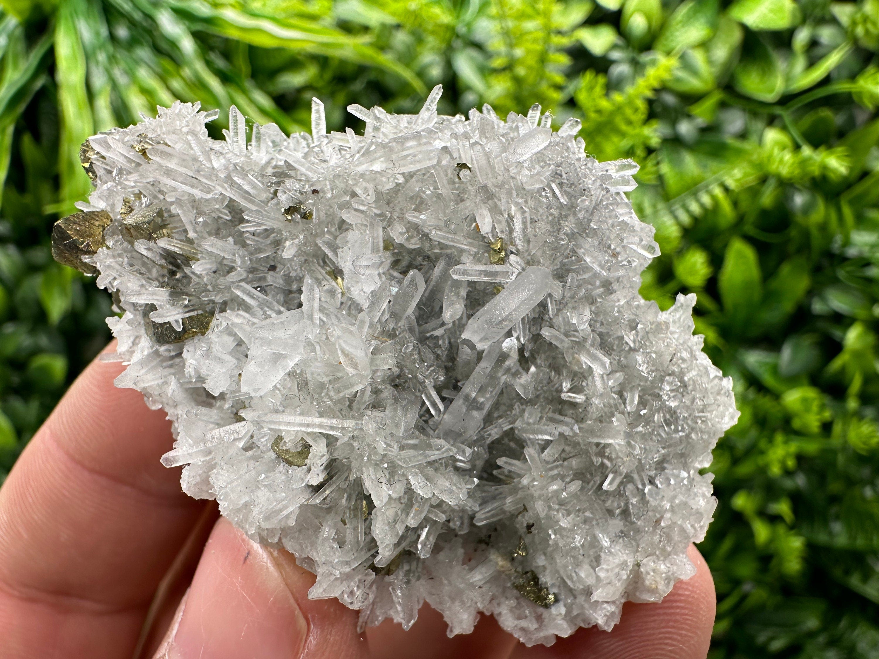 Chalcopyrite on Quartz Crystal: Borieva Mine, Bulgaria