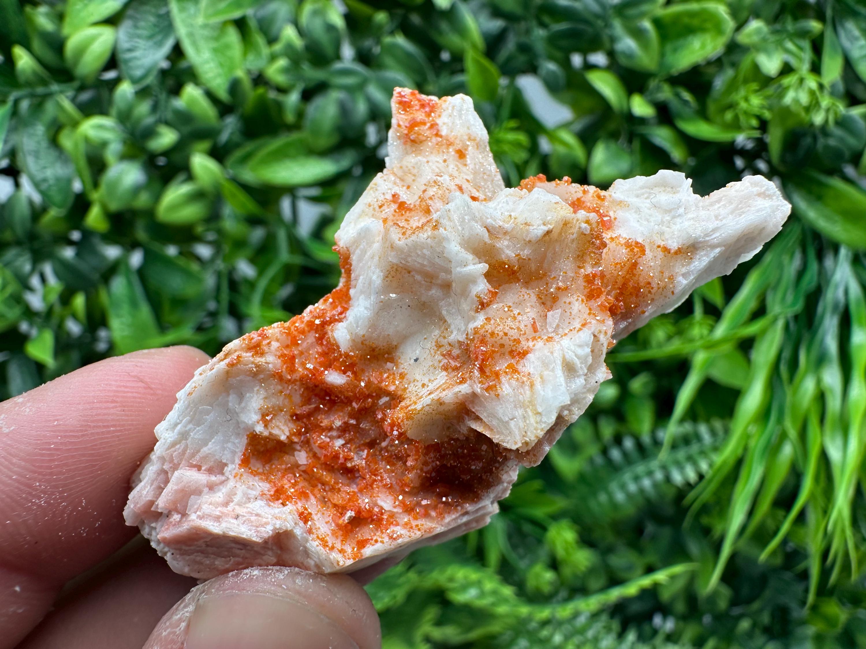 Red Vanadinite on Barite, Moroccan Crystal Cluster