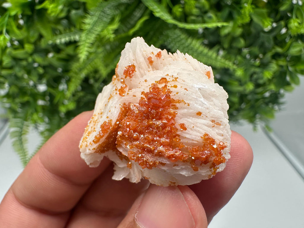 Red Vanadinite on Barite from Marocco,crystal minerals Speciment cluster Vanadinite crystal Vanadinite Geology Vanadinite cluster minerals
