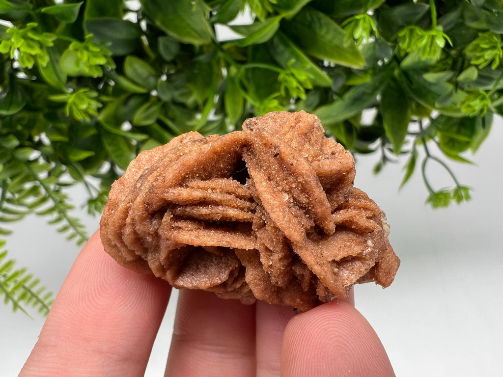 Desert Rose Crystal: Root Chakra Healing Selenite Stone
