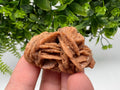 Desert Rose Crystal: Root Chakra Healing Selenite Stone