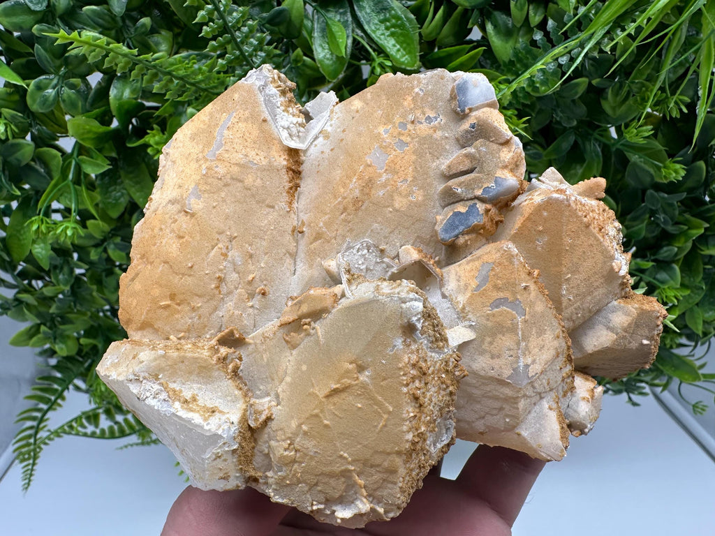 Limonite Coated Quartz Crystal, Djurcovo Mine, Bulgaria