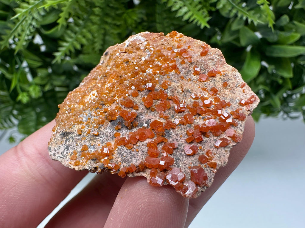 Red Vanadinite on Matrix from Marocco,crystal minerals Speciment cluster Vanadinite crystal Vanadinite Geology Vanadinite cluster minerals