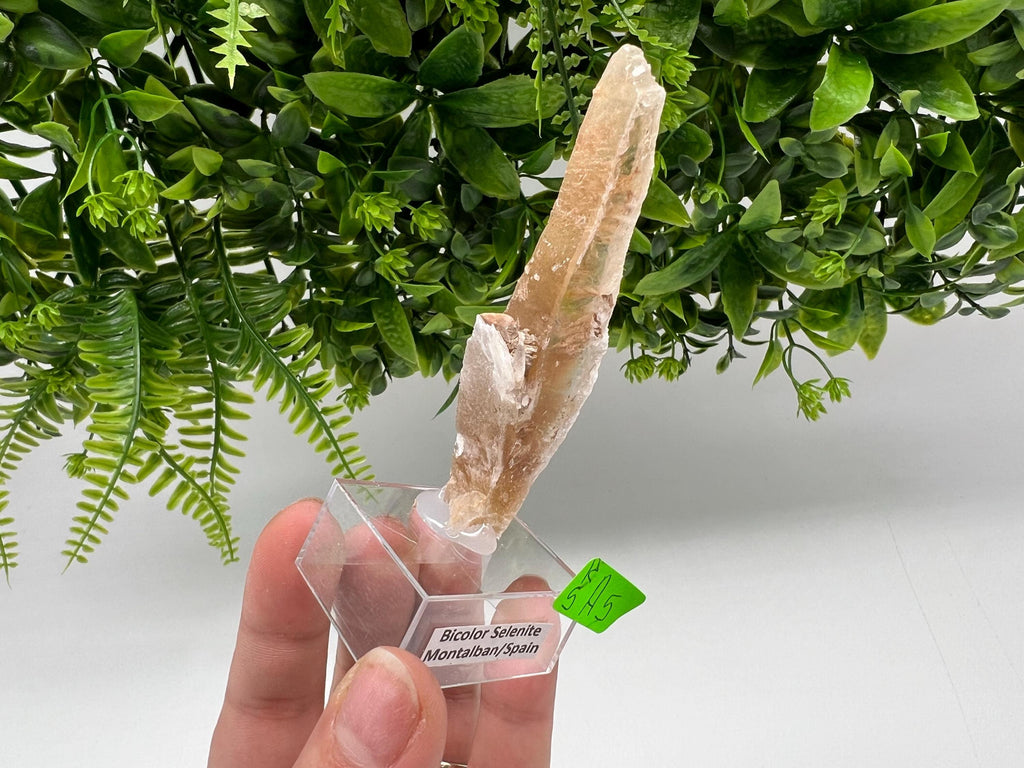 Golden Phantom Selenite Slab: Utah Raw Crystal Wand