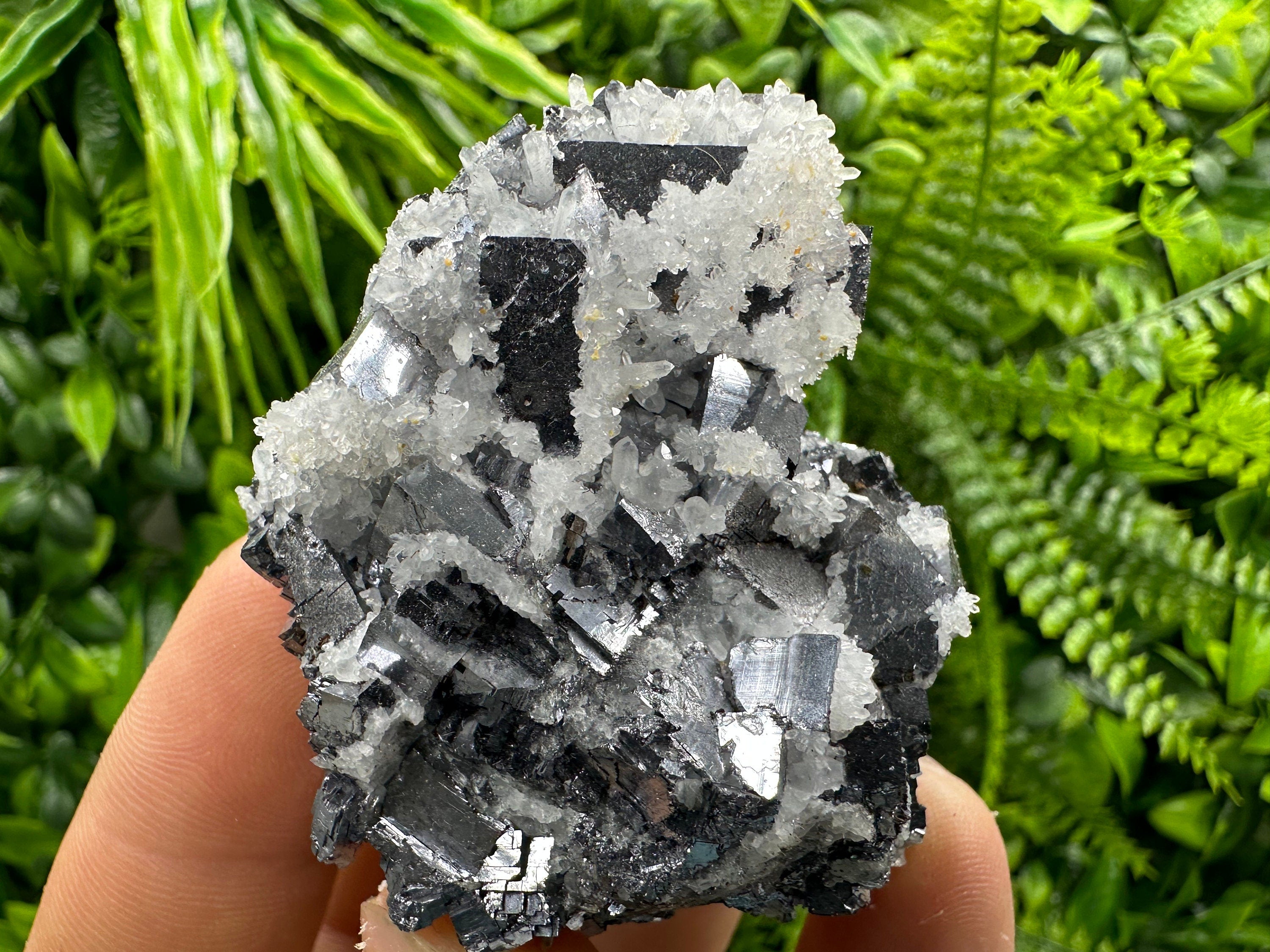 Galena with Quartz Crystal: Natural Mineral Specimen, Bulgaria