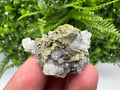 Chalcopyrite on Quartz Specimen, Krushev dol Mine, Bulgaria