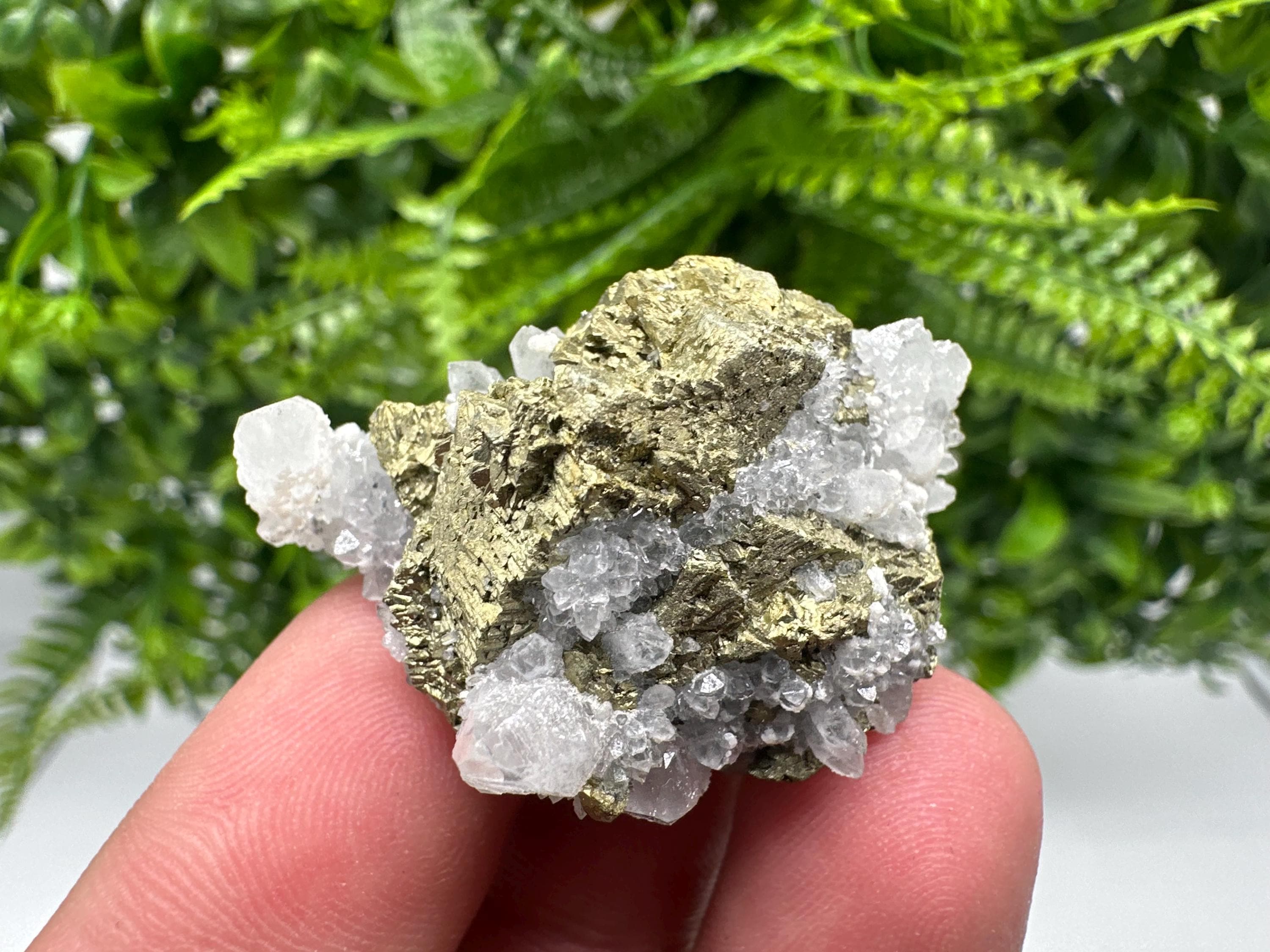 Chalcopyrite on Quartz Specimen, Krushev dol Mine, Bulgaria