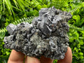 Galena Cluster on Matrix: Natural Mineral Specimen, Bulgaria