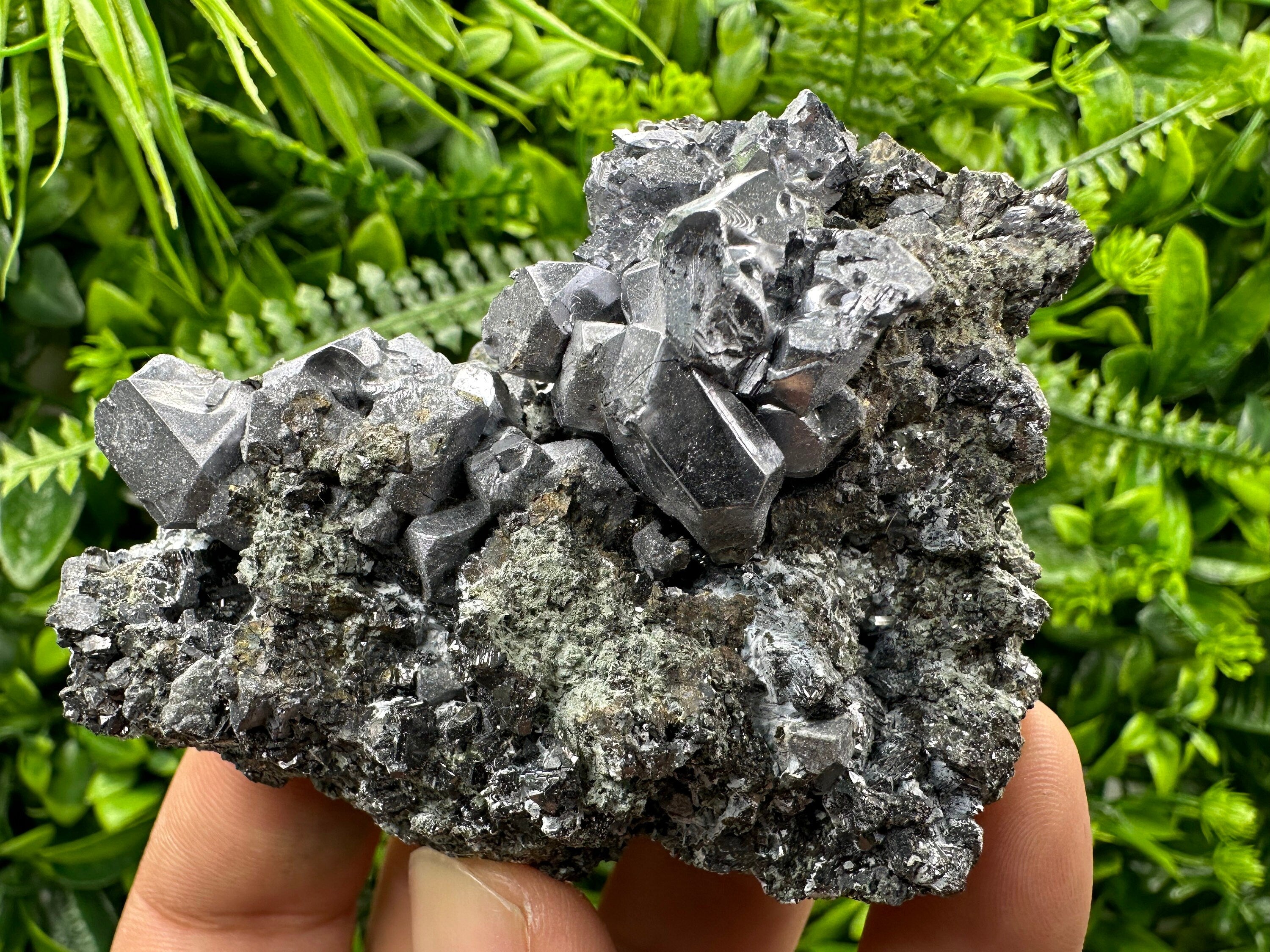 Galena Cluster on Matrix: Natural Mineral Specimen, Bulgaria