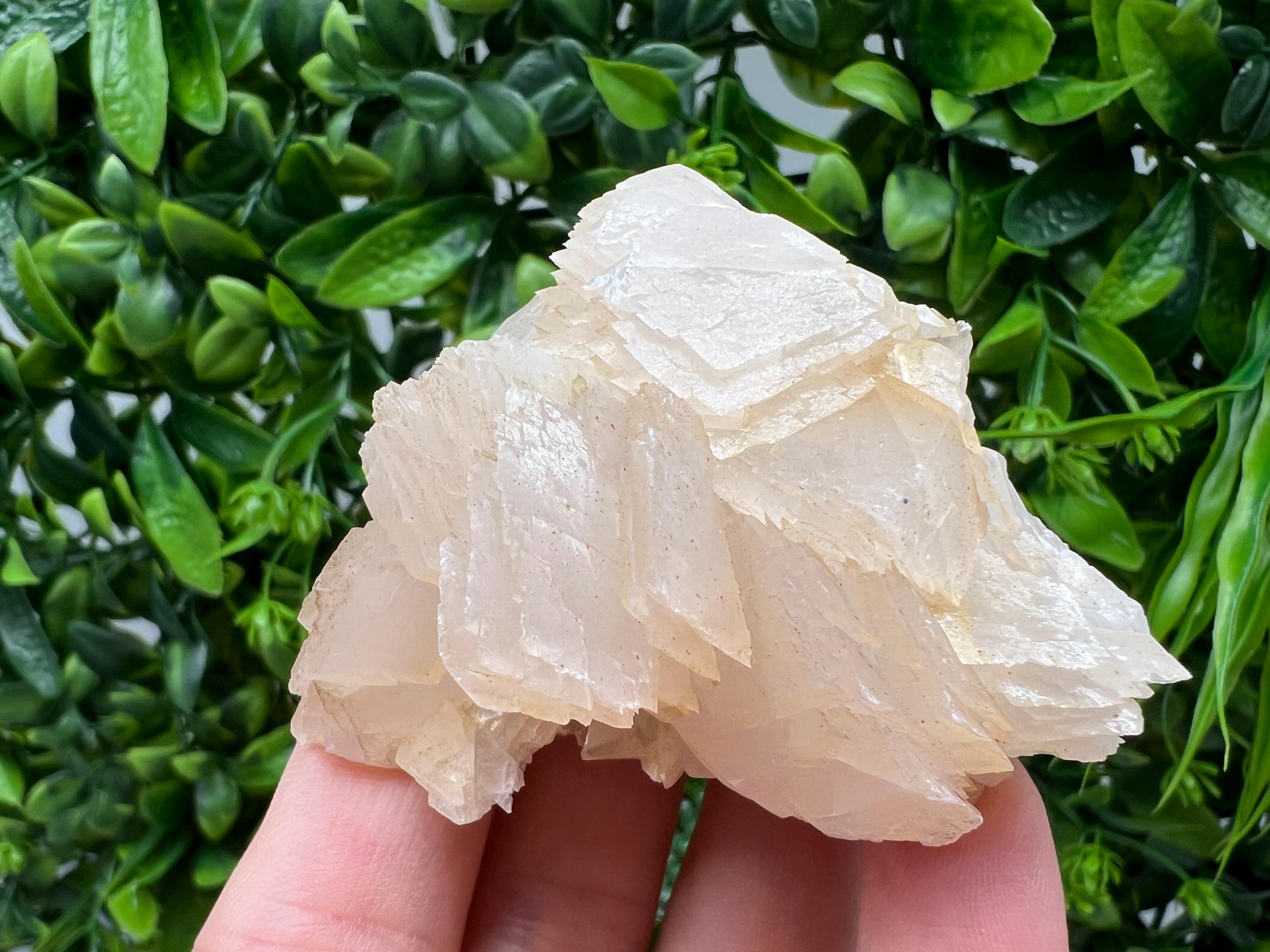 Calcite & Chlorite Crystal: Borieva Mine, Bulgaria