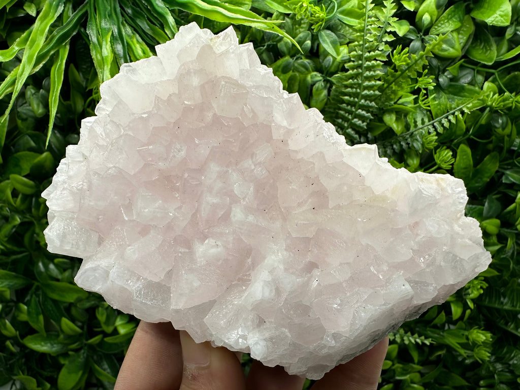 UV Reactive Mangano Calcite, Androvo Mine Bulgaria, Mineral Specimen