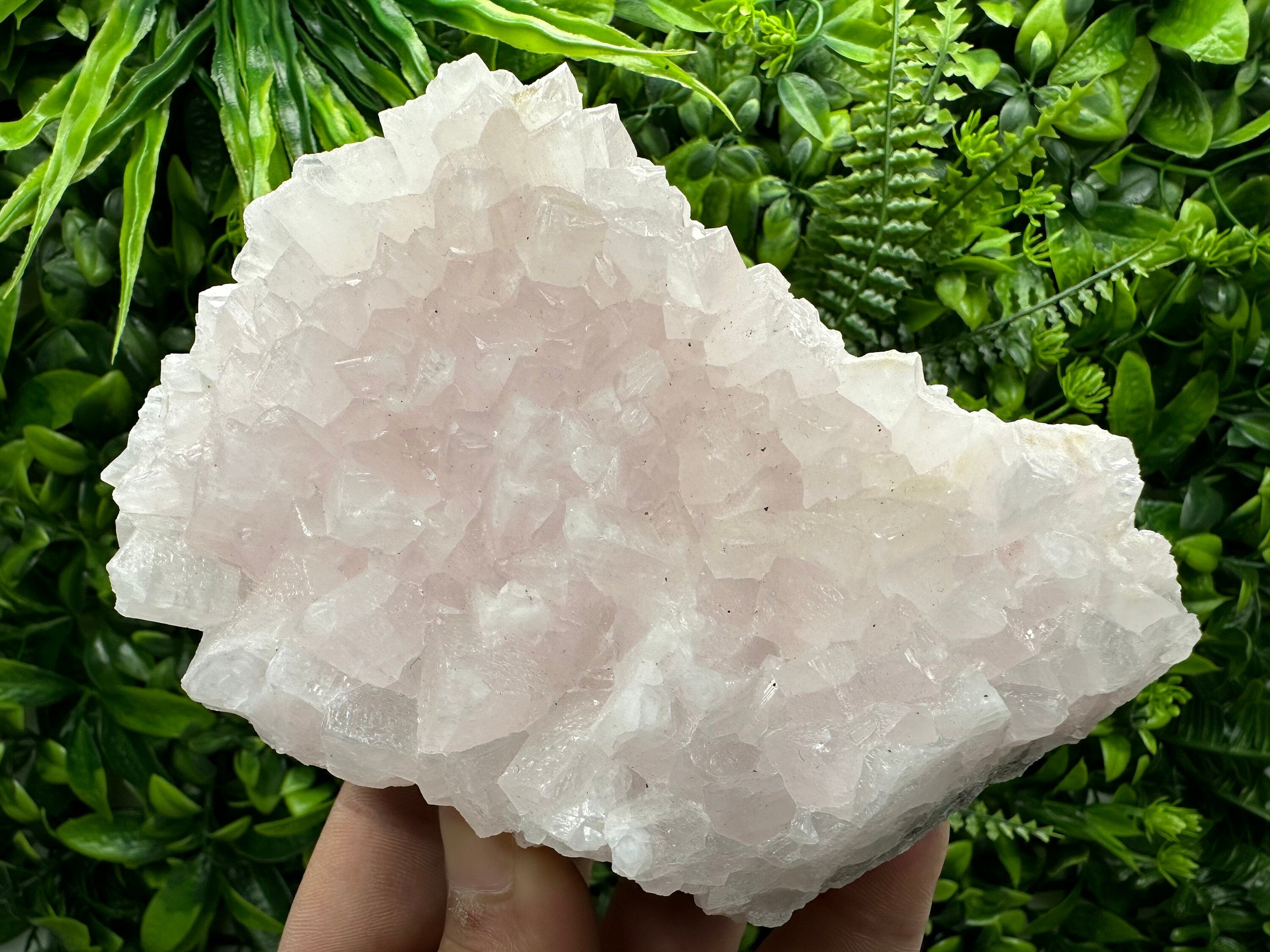 UV Reactive Mangano Calcite, Androvo Mine Bulgaria, Mineral Specimen