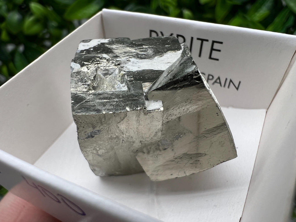 Navajun Pyrite Cube: Interjoined Gold Mineral Specimen, La Rioja Spain