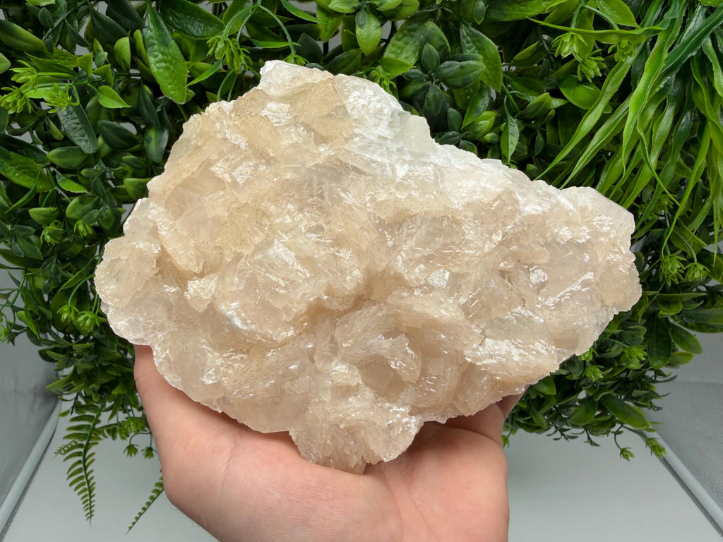 Mangano Calcite with Galena, Borieva Mine, Bulgaria