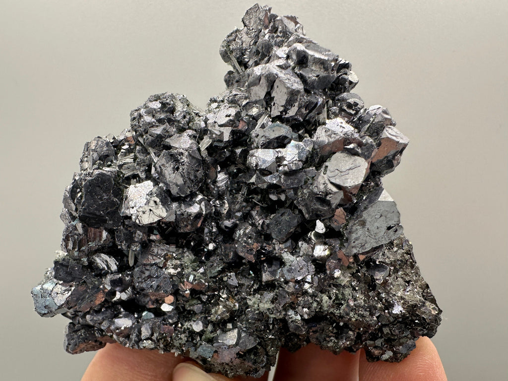 Shiny Galena on Sphalerite, Borieva Mine, Bulgaria