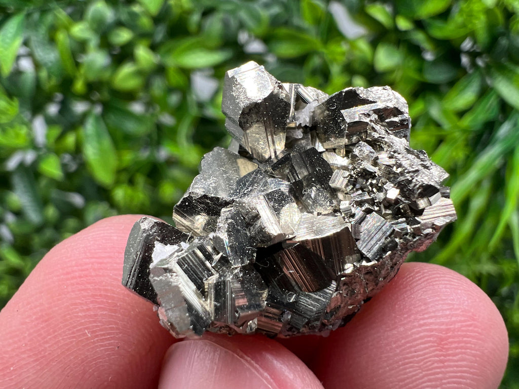 Golden Pyrite,Sphalerite from 9th September mine,Madan,Bulgaria,natural,collectible mineral specimen,home decor crystal,Pyrite cluster,
