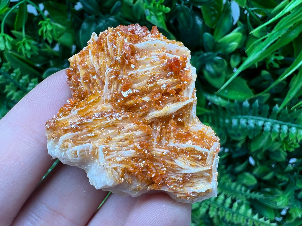Red Vanadinite on Barite from Marocco,crystal minerals Speciment cluster Vanadinite crystal Vanadinite Geology Vanadinite cluster minerals