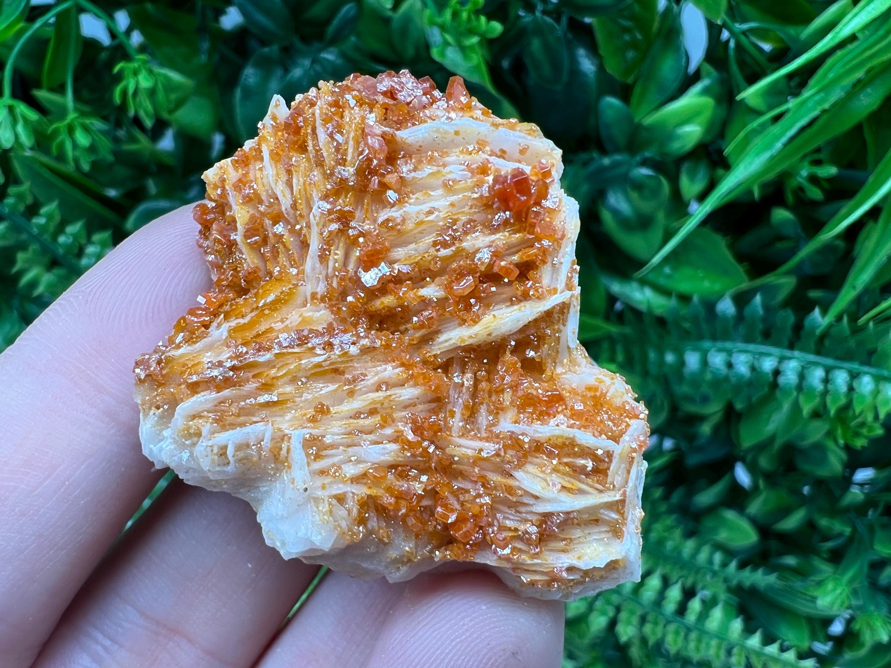 Red Vanadinite on Barite from Marocco,crystal minerals Speciment cluster Vanadinite crystal Vanadinite Geology Vanadinite cluster minerals