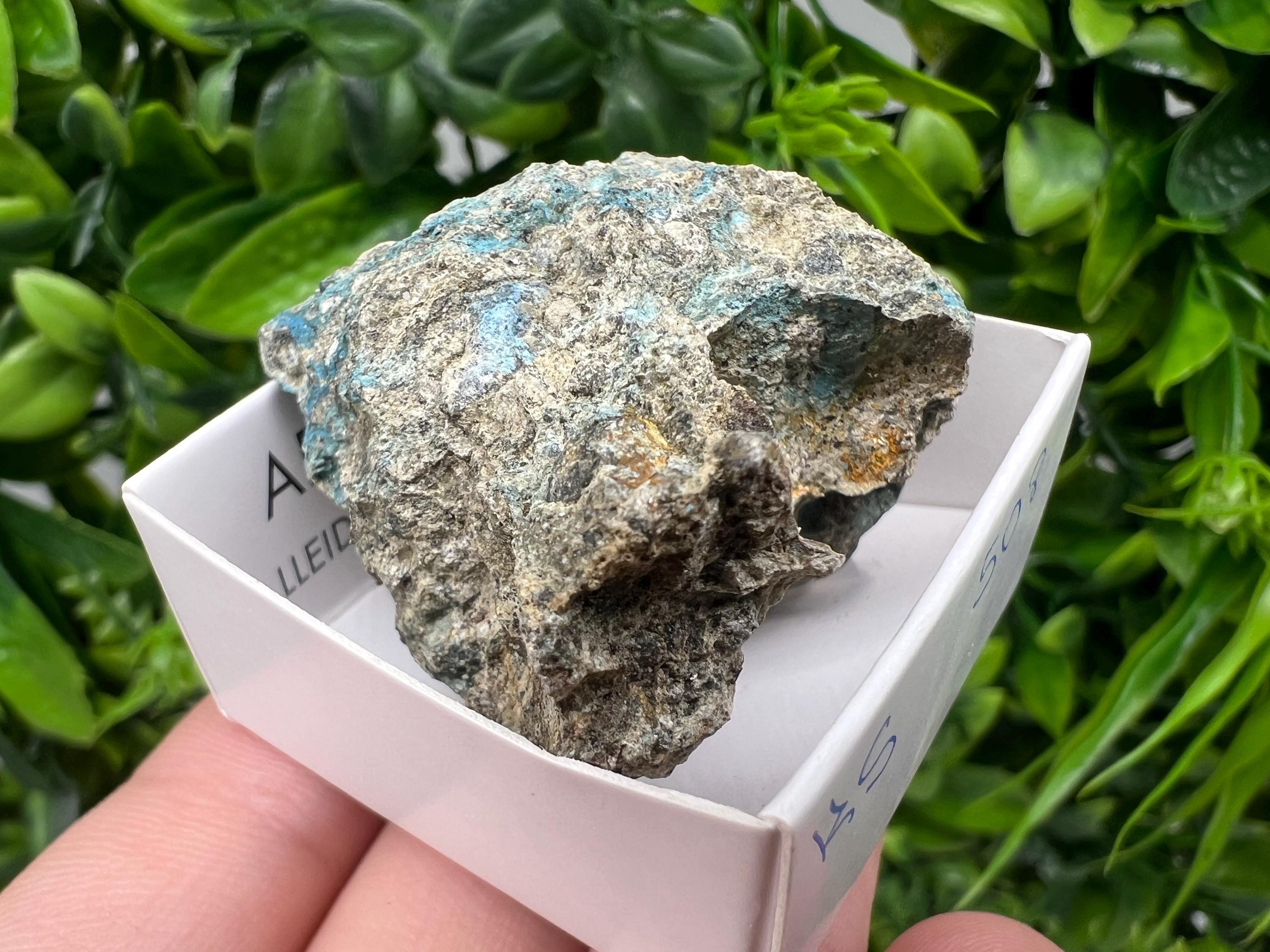 Rare Raw Aerinite Mineral Specimen: Collection Crystal from Lleida, Spain (4/4 cm