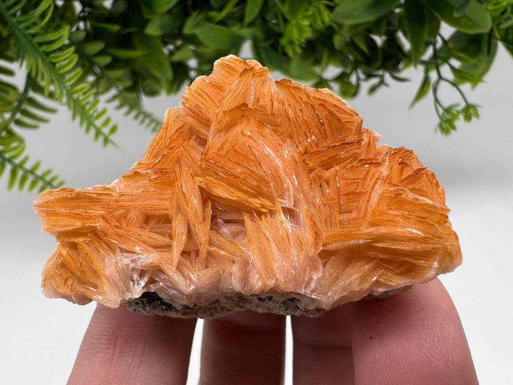 Wonderful Baryte with Cerussite on Galena from Morocco,Crystal, Mineral,Specimen,Cluster,Crystals,Barite Crystal,Cerussite Crystal,Specimen