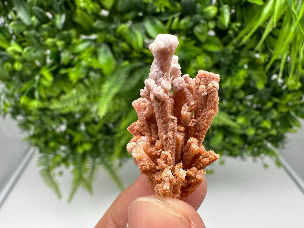 Wonderful Aragonite from Dimitrovgrad,Bulgaria,natural minerals,souvenir crystal,home decor stone,collection specimen,gift,calcite,aragonite