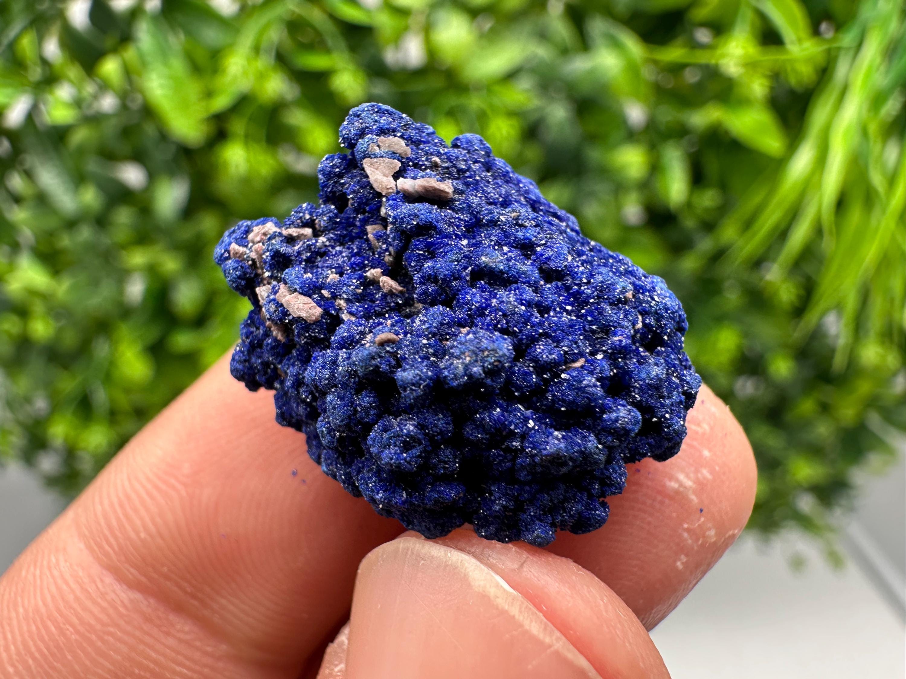 Crystallized Azurite-Kerrouchen,Morocco-Blue Azurite Specimen-High Quality Blue Azurite-Azurite Mineral Specimen, gemmy,lustrous of Azurite
