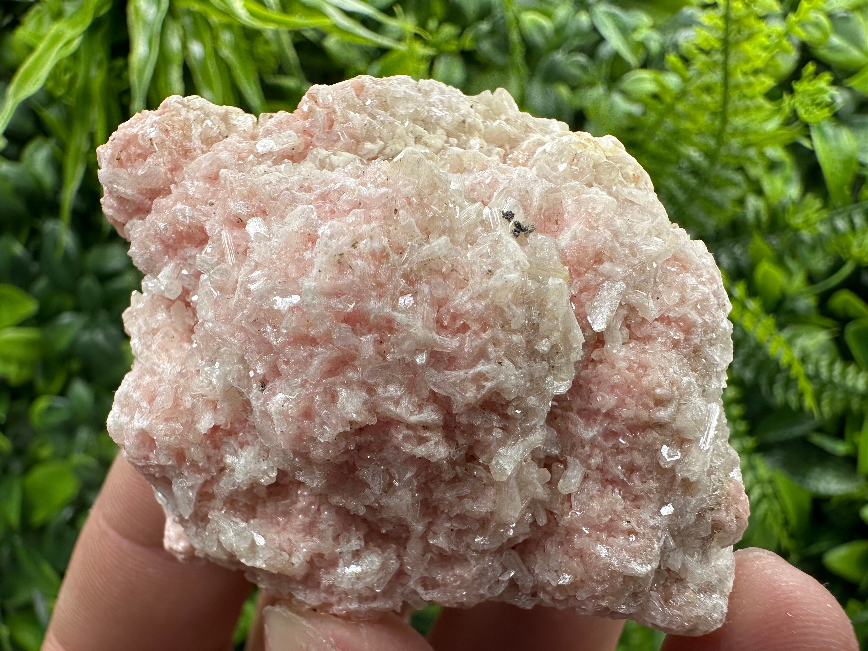 Rhodochrosite with Quartz and Stilbite, Starnica Mine Mineral Gift