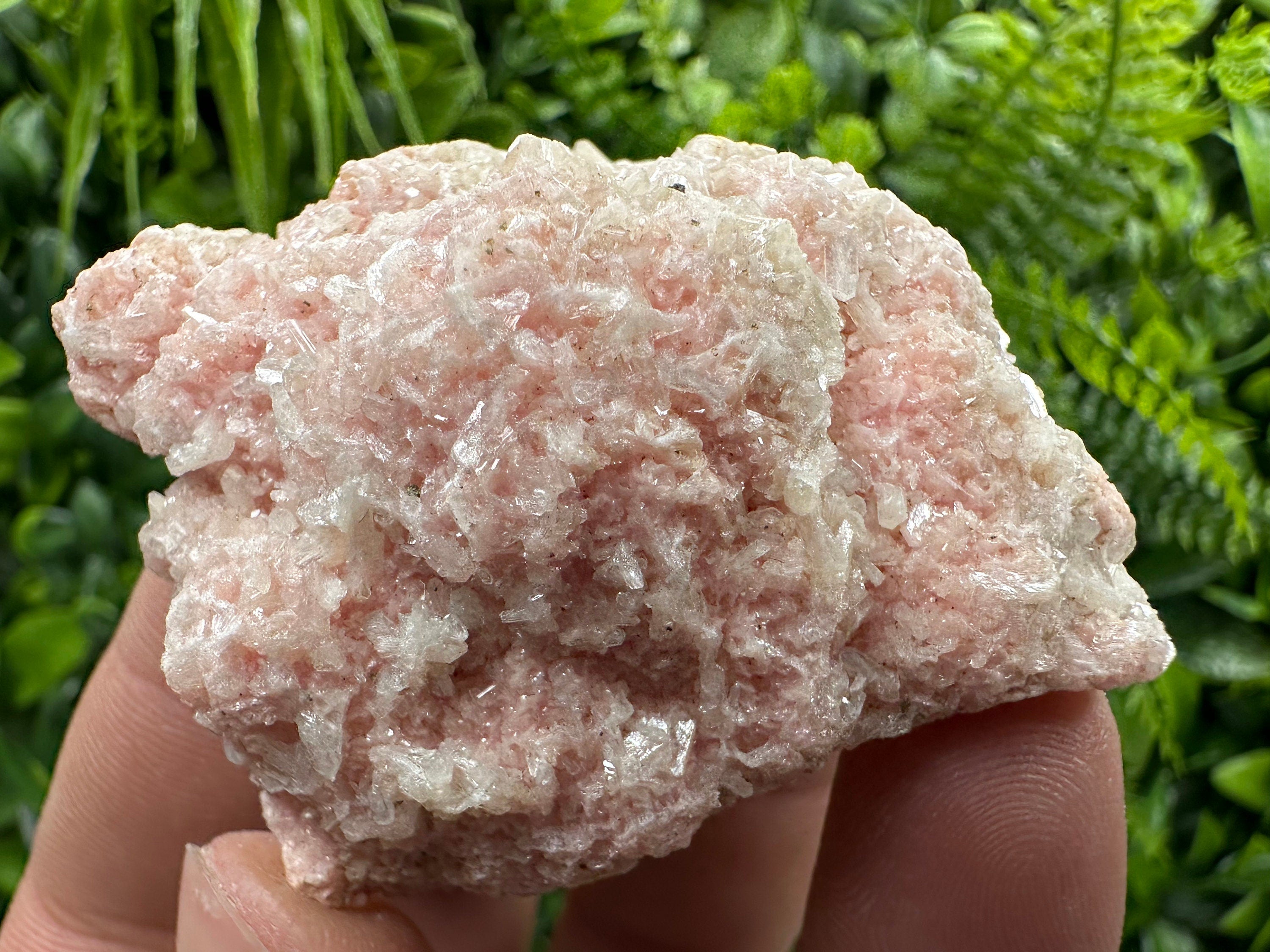 Rhodochrosite with Quartz and Stilbite, Starnica Mine Mineral Gift