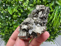 Golden Pyrite,Sphalerite from 9th September mine,Madan,Bulgaria,natural,collectible mineral specimen,home decor crystal,Pyrite cluster,
