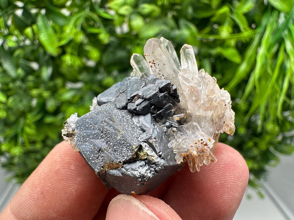 Wonderful Sphalerite Chalcopyrite on  Quartz whit Hematite feom 9 th September mine,Bulgaria,natural,collection mineral specimen,gift