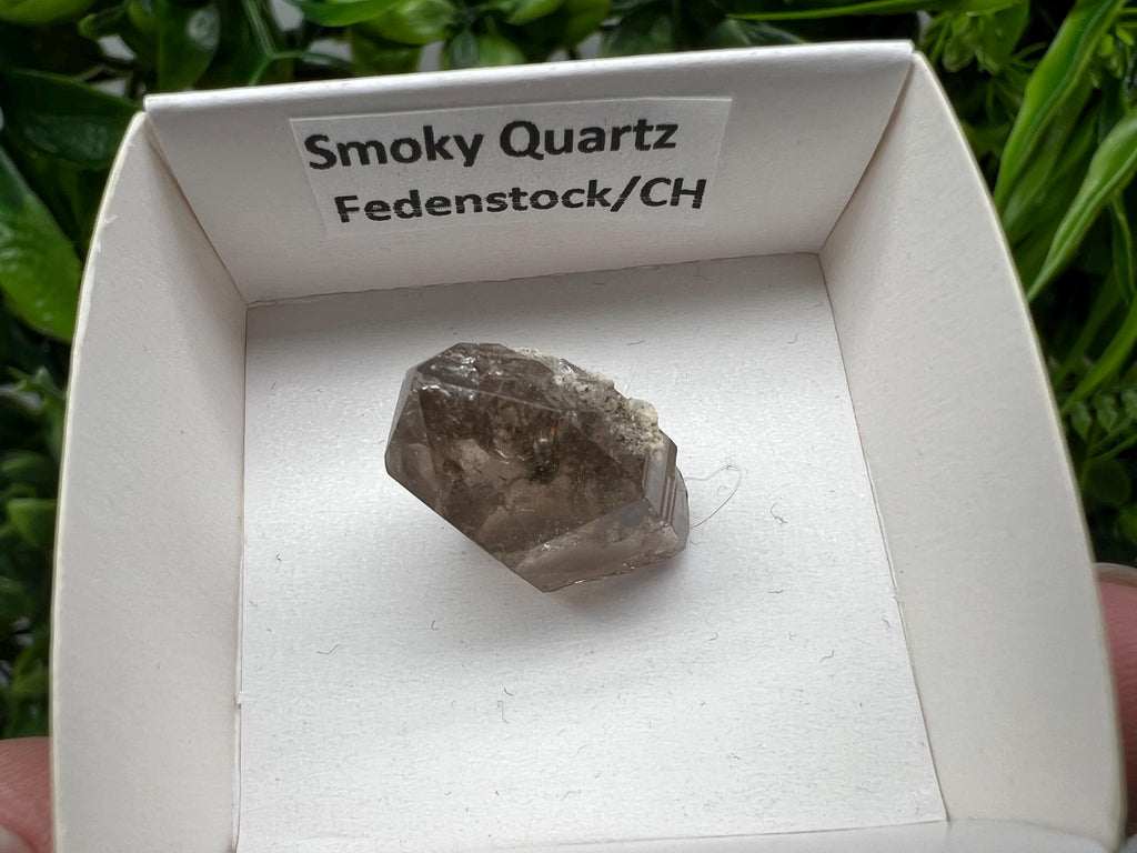 Rare Fedenstock Smoky Quartz Point, Swiss Mineral Specimen (20MM)