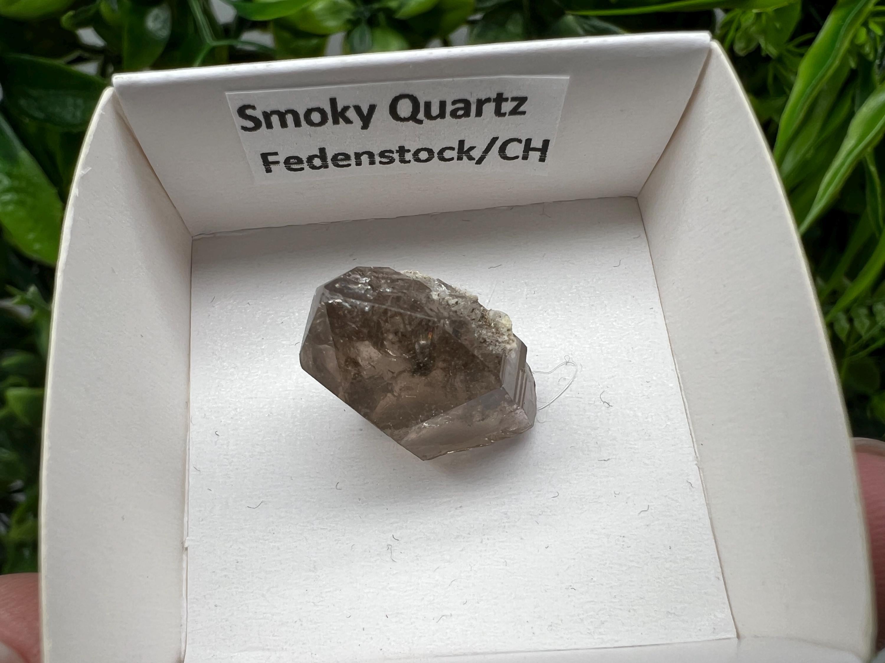 Rare Fedenstock Smoky Quartz Point, Swiss Mineral Specimen (20MM)