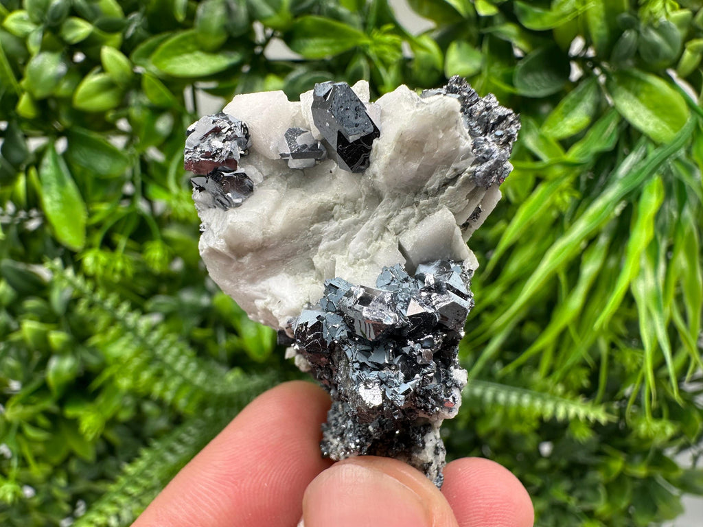 Stunning Shpinel Galena on Sphalerite,Calcite from Borieva mine,Madan,Bulgaria,Natural,collectible mineral specimen,home decor,collectible’s