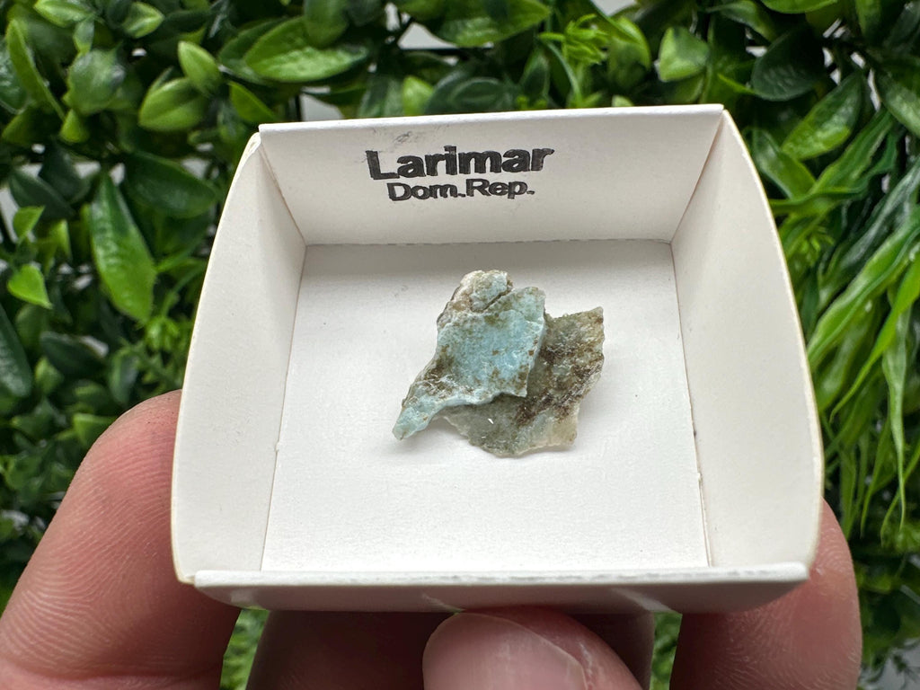 Rare Raw Larimar Specimen: Dom. Rep. Mineral Collection (20mm)