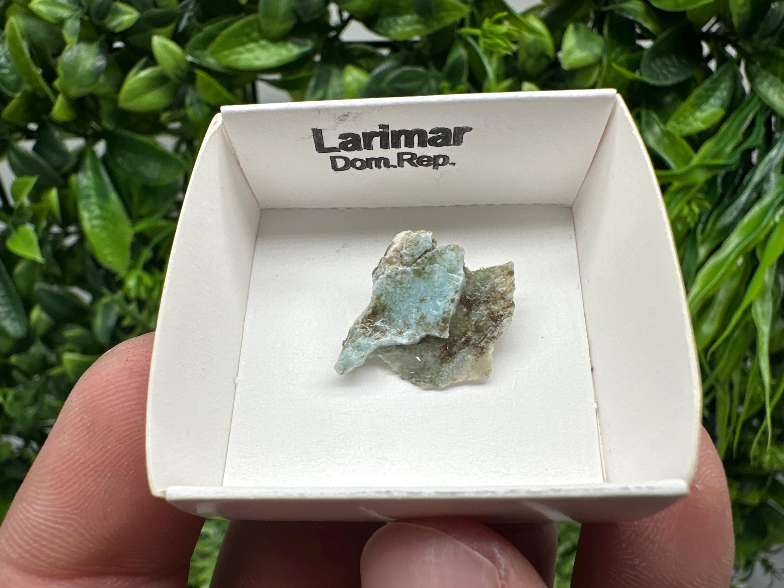 Rare Raw Larimar Specimen: Dom. Rep. Mineral Collection (20mm)