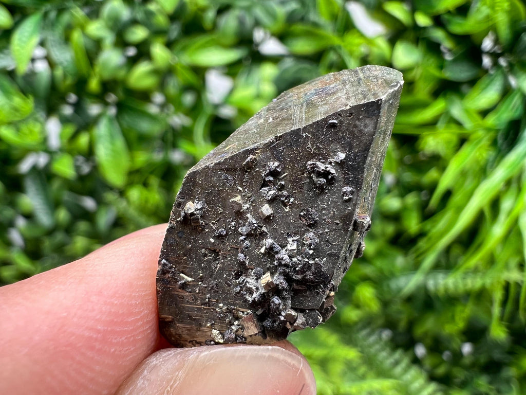 Mini Rare crystallisation Pyrite,Borieva mine,Bulgaria,floating Pyrite,golden Pyrite,Pyrite cluster,mini Collection specimen,Rainbow Pyrite