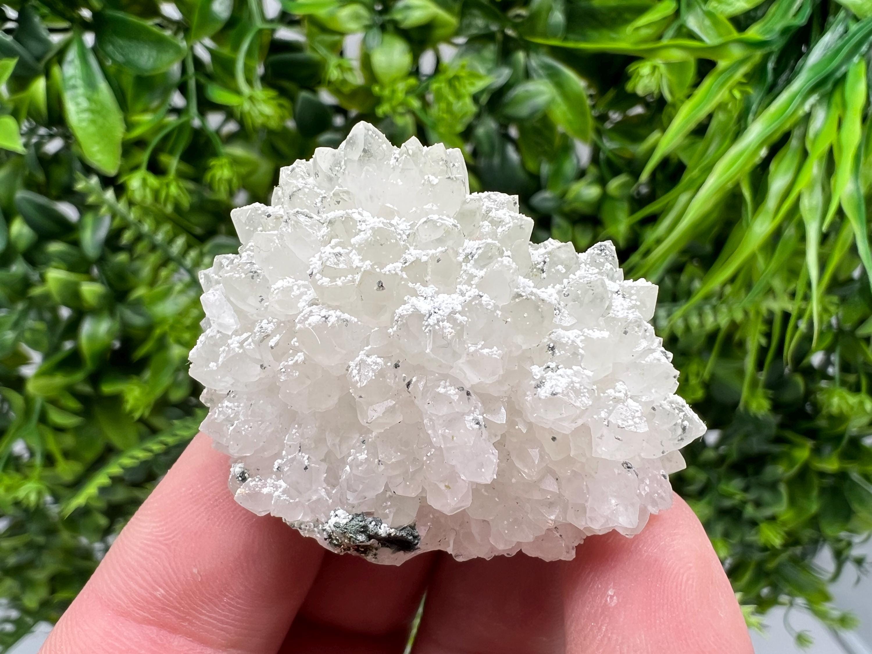 Transparent Quartz on Chlorite Matrix, Bulgaria Mineral Specimen