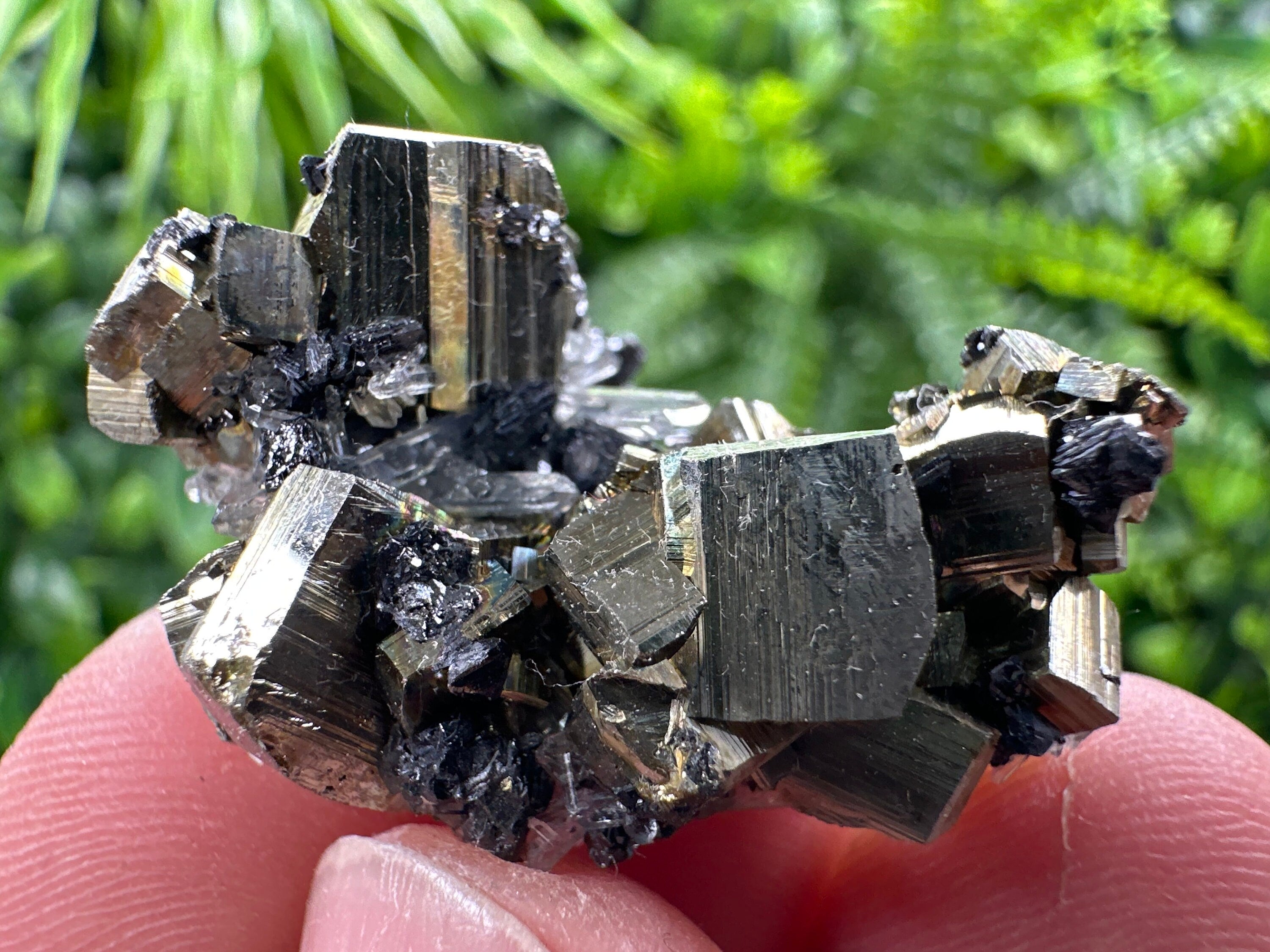 Pyrite with Hematite, Sphalerite & Quartz: Borieva Mine Mineral Specimen