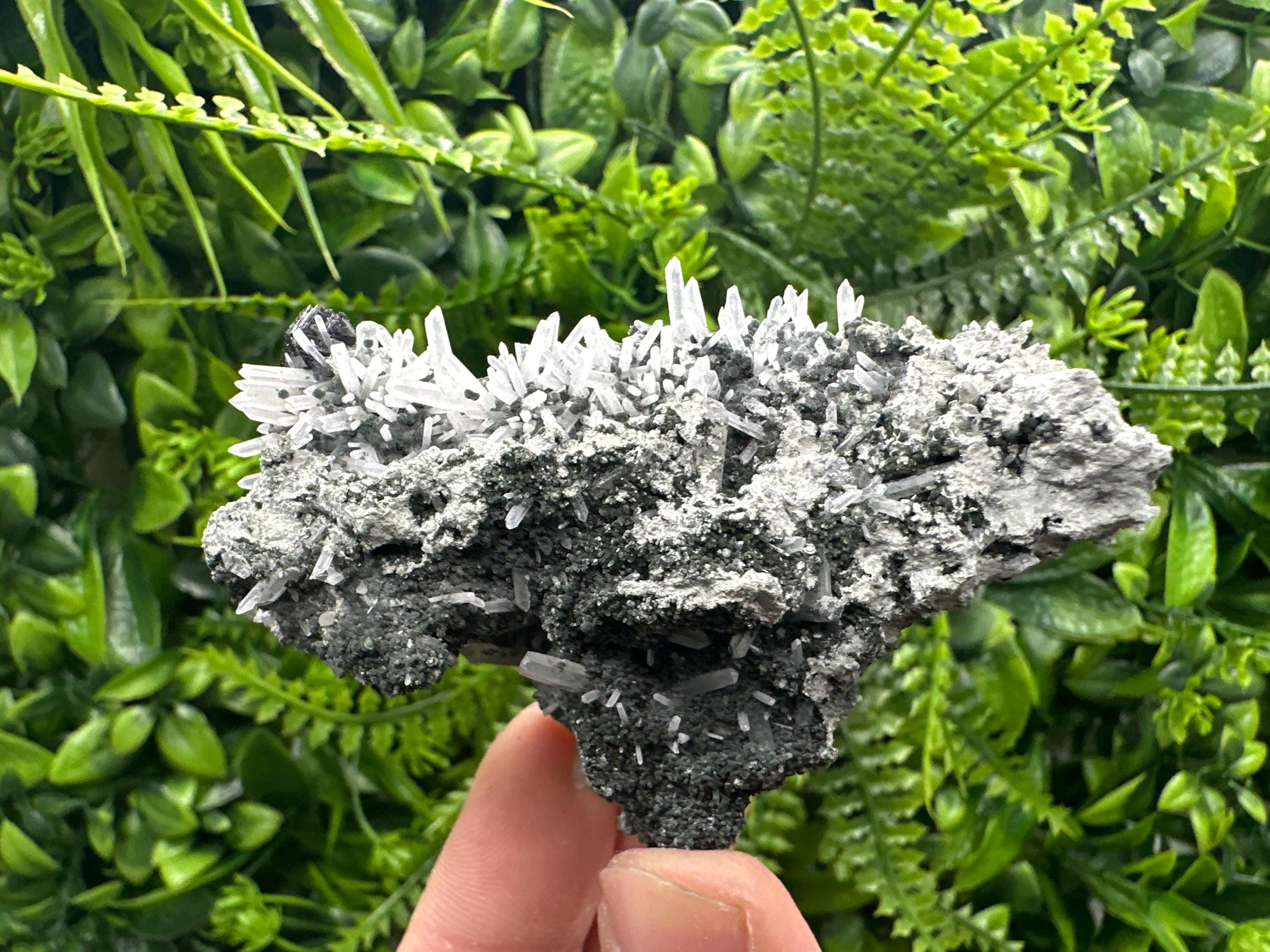 Quartz with Chlorite and Sphalerite, Borieva Mine Mineral Specimen