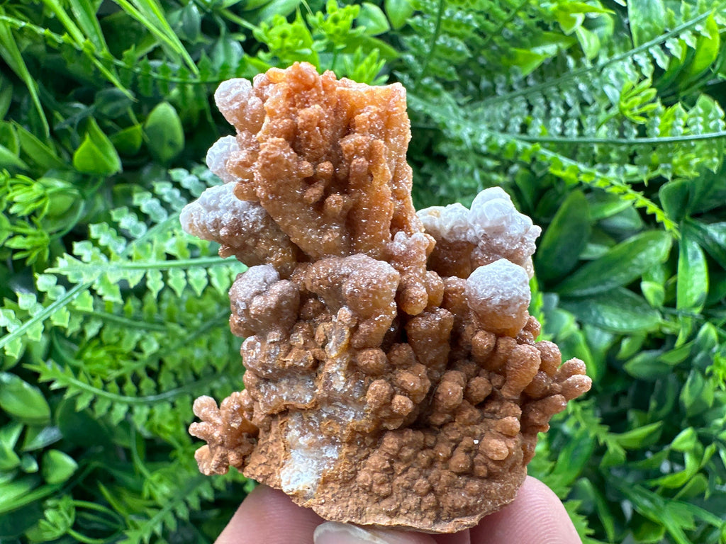 Dimitrovgrad Aragonite Cluster, Bulgaria Crystal Mineral Specimen