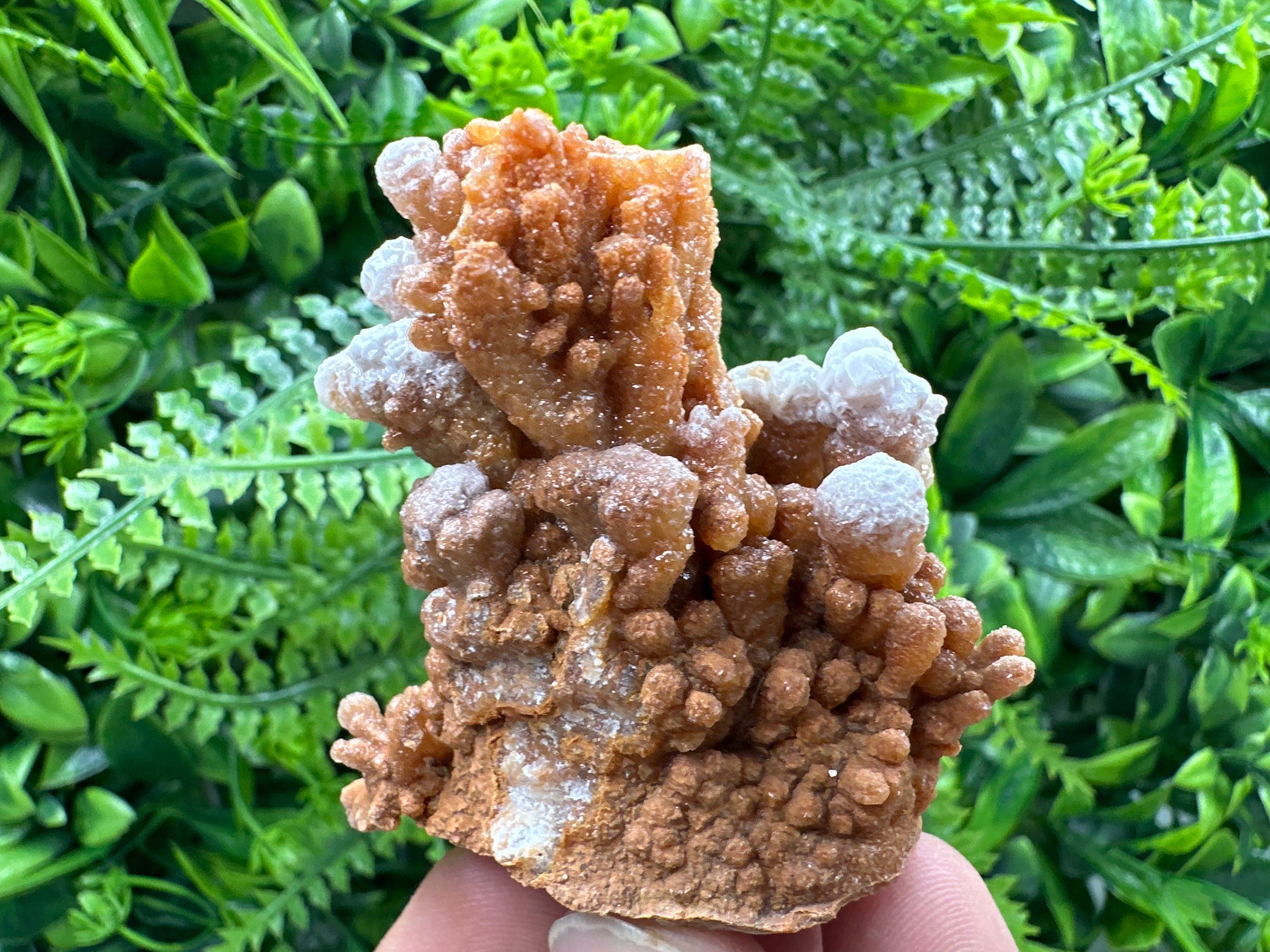 Dimitrovgrad Aragonite Cluster, Bulgaria Crystal Mineral Specimen