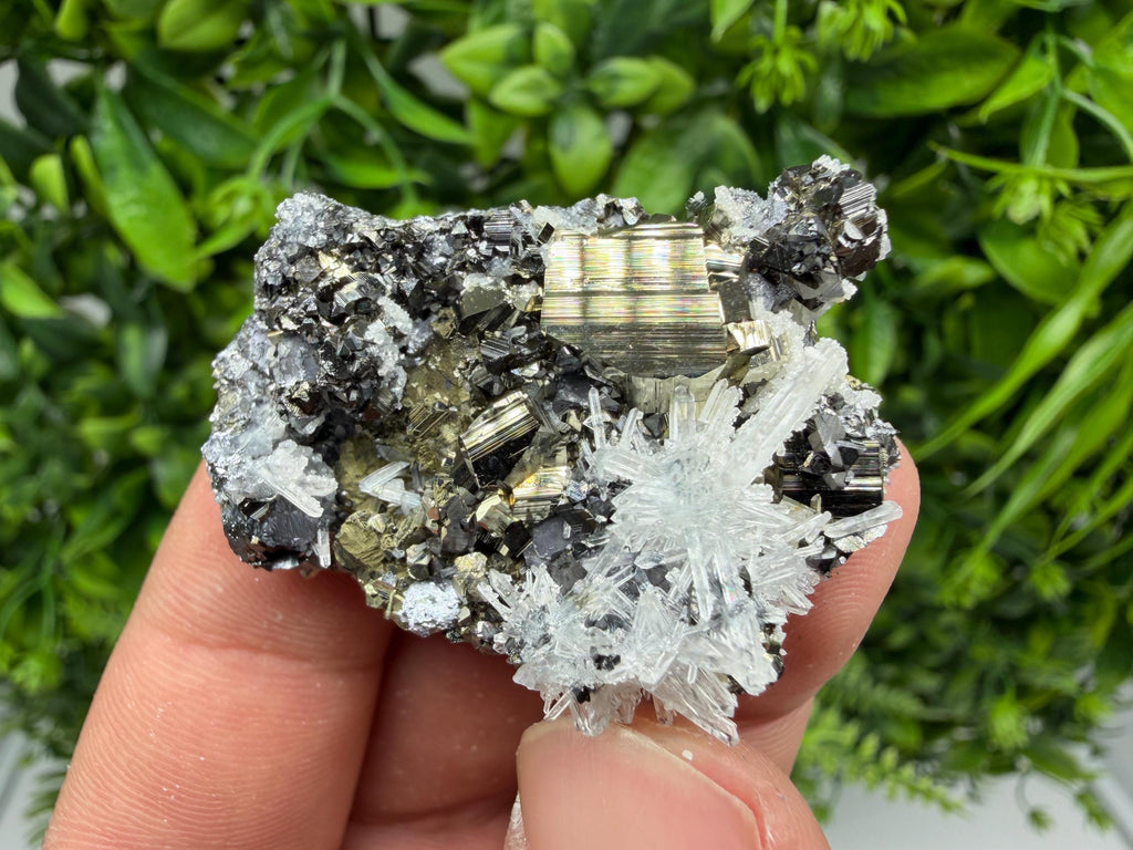 Pyrite Sphalerite Quartz  Mineral Specimen, Krushev dol Mine