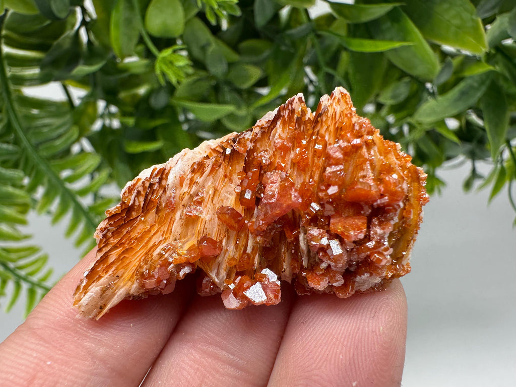 Red Vanadinite Crystal Cluster on Barite, Morocco Mineral Specimen