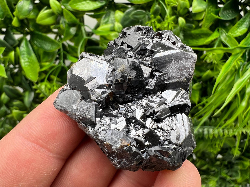 Sphalerite with Chlorite: Borieva Mine, Bulgaria